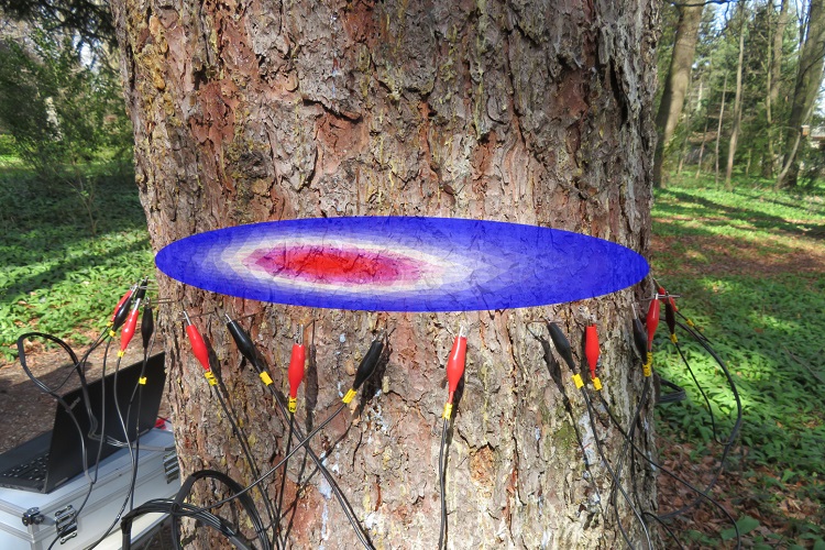 suncitygroup太阳集团--官方网站