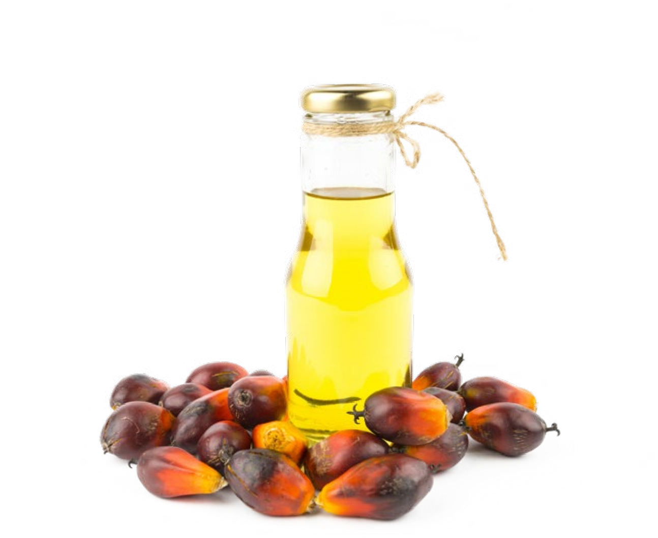 suncitygroup太阳集团--官方网站