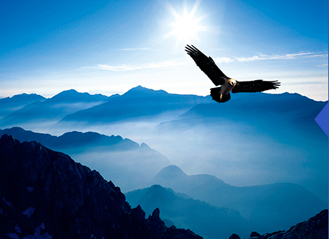 suncitygroup太阳集团--官方网站