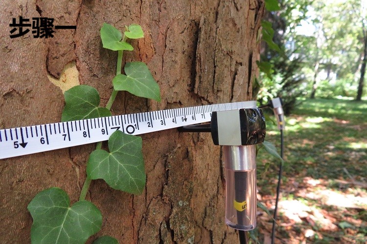 匈牙利Fakopp、Fakopp木料应力波测定仪、Fakopp木料应力波测试仪、Fakopp 3D树木成像仪